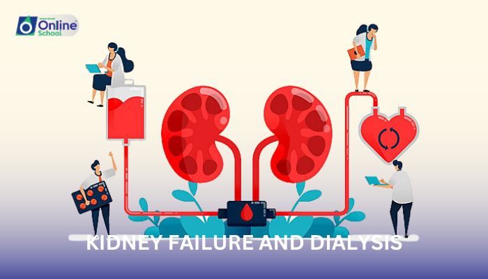 Lesson 14: Kidney Failure and Dialysis